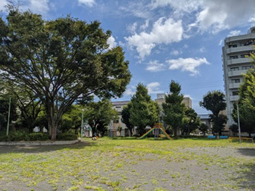 新通公園の画像1