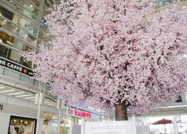 相模大野の画像1