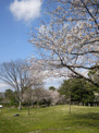 駿府城公園(紅葉山庭園)
