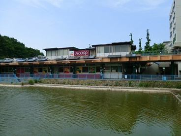 Aコープ 緑竹山店の画像1