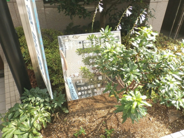 野田歯科医院の画像2