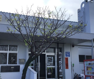 新里公民館の画像1