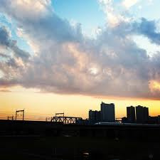 多摩川丸子橋緑地の画像1