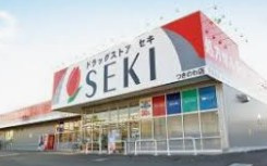 ドラッグストアセキ本庄銀座店の画像1