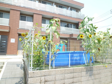 タンポポ保育所の画像1