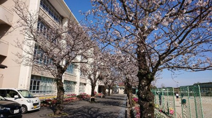 皇徳寺中学校の画像1