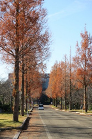 上越教育大学の画像2