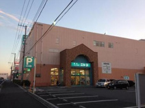 ニトリ　沼南店