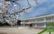 三反田小学校の画像