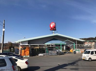 コメリハード＆グリーン　金砂郷店の画像1