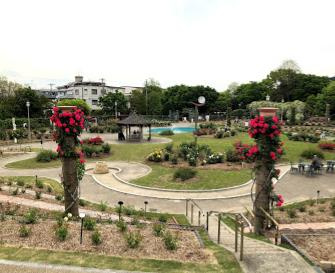 若園公園の画像1