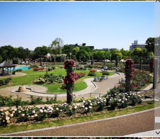 若園公園の画像2