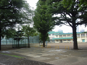 代々木中学校の画像2