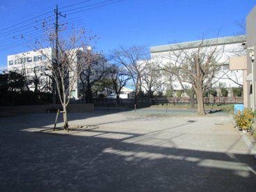 菖蒲遊園地の画像1