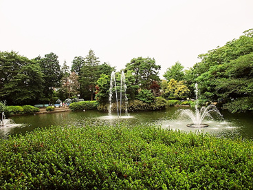 妙正寺公園の画像1