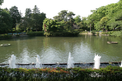 妙正寺公園の画像2