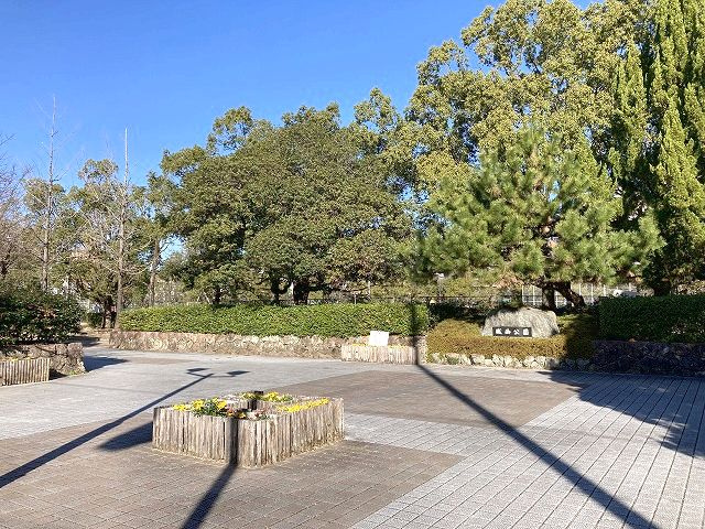 の画像