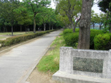 公園 昆陽池公園