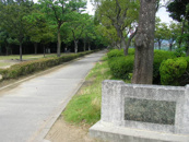 昆陽池公園