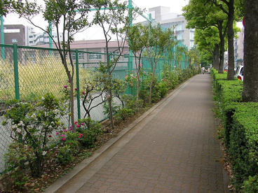 加計塚小学校の画像3