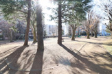 武蔵野台公園