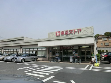 たちばな台 東急ストアの画像1