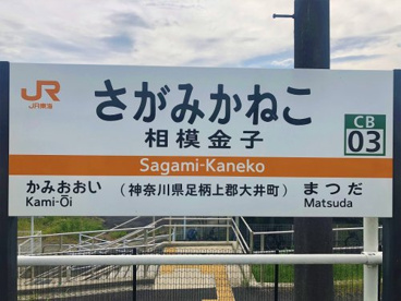 相模金子の画像2