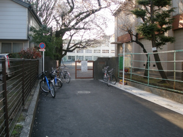 中野神明小学校の画像2