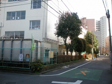 中野神明小学校の画像3