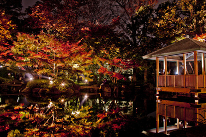 大田黒公園の画像1