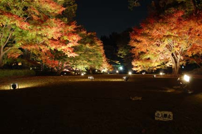 大田黒公園の画像2