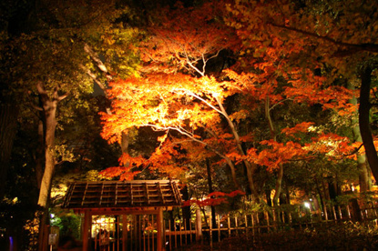 大田黒公園の画像4
