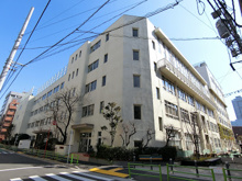 幼稚園 中央区立久松幼稚園