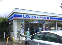 ローソン・スリーエフ　柏高田南店　