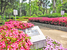 塚山公園の画像1