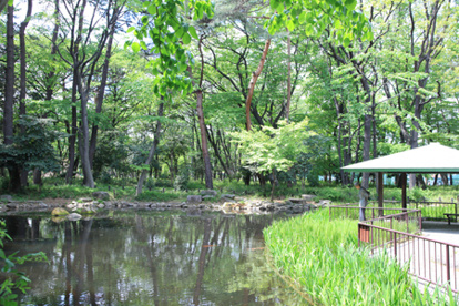 塚山公園の画像3