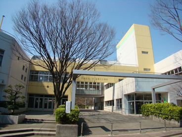 杉並第十小学校の画像1
