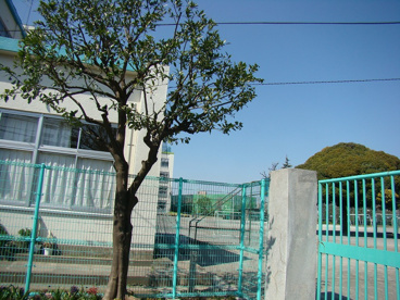 杉並第三小学校の画像1