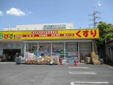 どらっぐぱぱす 西小岩店
