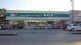 ドラッグセイムス柏花野井店