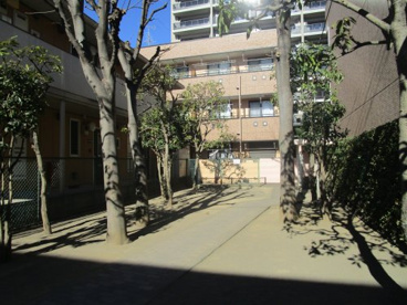 常盤１０丁目公園の画像1