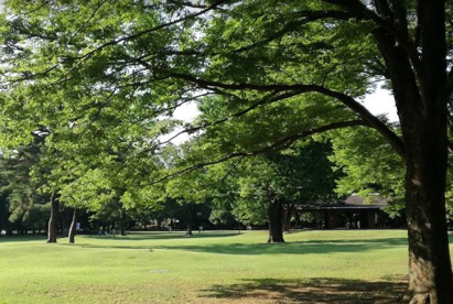 野川公園の画像1