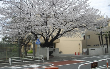 藤沢市立大庭小学校の画像1