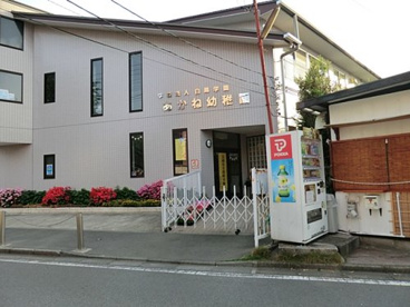 あかね幼稚園の画像1