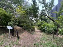 中台しいの木公園