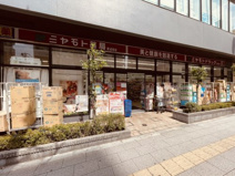 ミヤモトドラッグ 新成増店