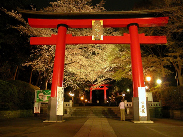 大宮八幡宮の画像1