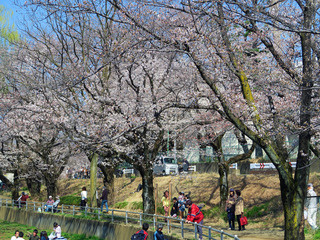 白山公園の画像1