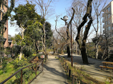 公園 文京区立窪町東公園