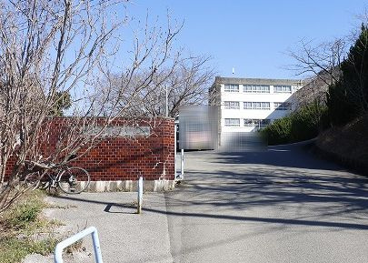 の画像
